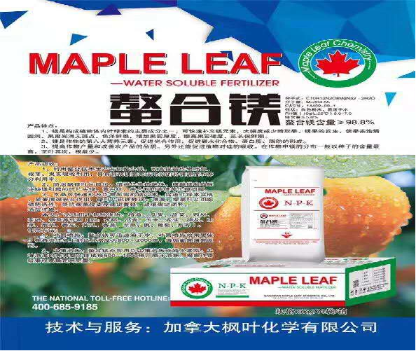 螯合镁