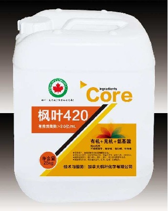 枫叶-420