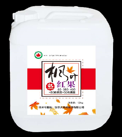 枫叶-红果